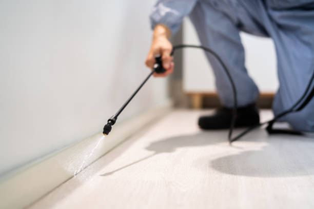 Licensed Pest Control service in Bastrop, LA - Show Me Pest Control