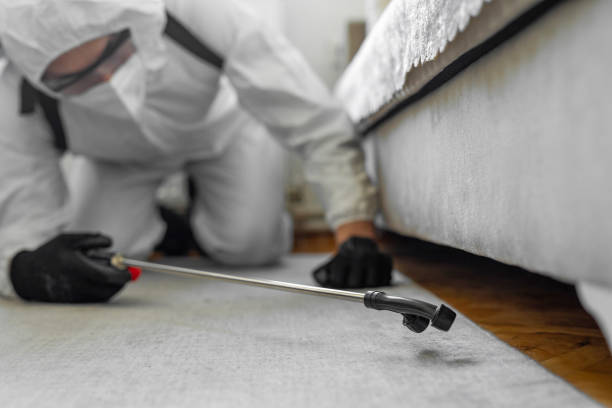 Professional Ant Control technician working in Bastrop, LA