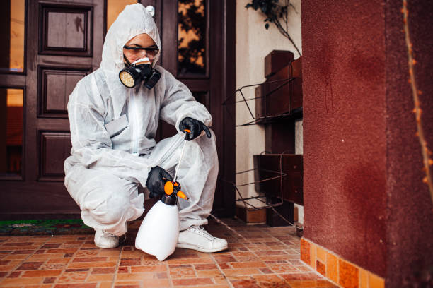 Reliable Ant Control contractor in Bastrop, LA by Show Me Pest Control